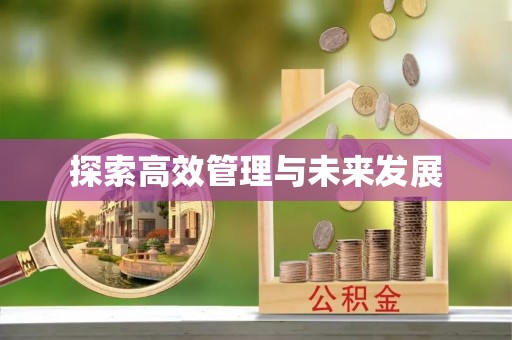赤壁探索高效管理与未来发展
