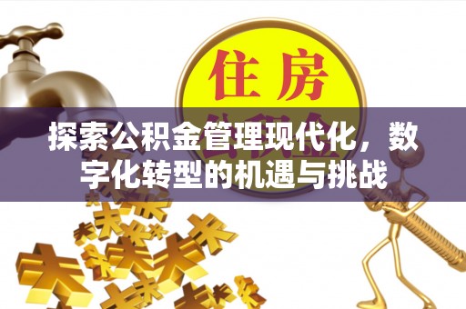 赤壁探索公积金管理现代化，数字化转型的机遇与挑战