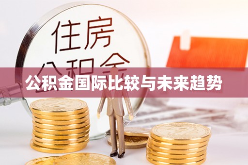 赤壁公积金国际比较与未来趋势