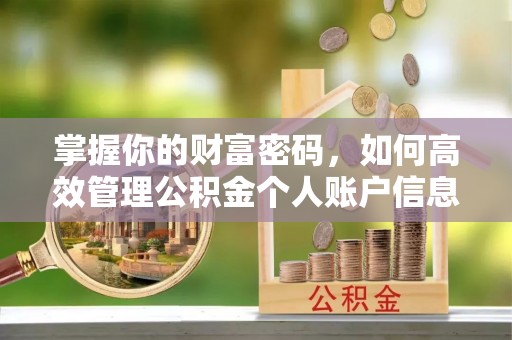 赤壁掌握你的财富密码，如何高效管理公积金个人账户信息