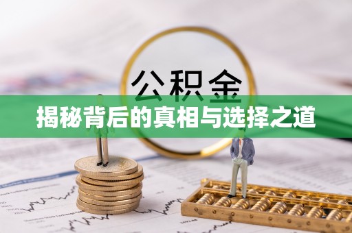 赤壁揭秘背后的真相与选择之道