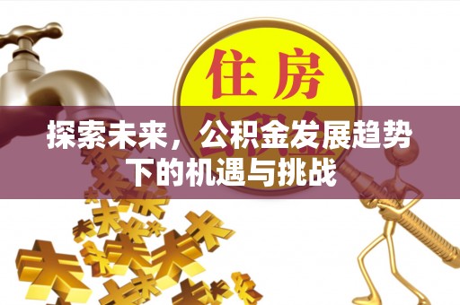 赤壁探索未来，公积金发展趋势下的机遇与挑战