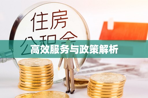 赤壁高效服务与政策解析
