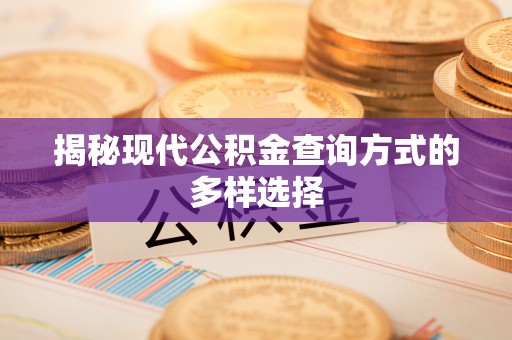 赤壁揭秘现代公积金查询方式的多样选择