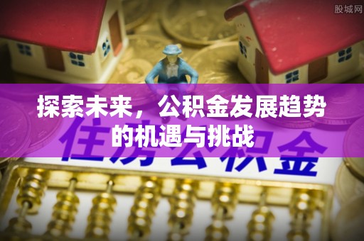 赤壁探索未来，公积金发展趋势的机遇与挑战