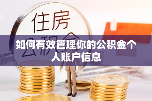 赤壁如何有效管理你的公积金个人账户信息