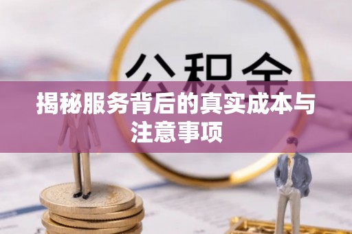 赤壁揭秘服务背后的真实成本与注意事项