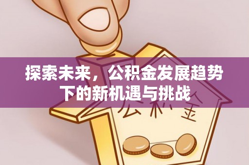 赤壁探索未来，公积金发展趋势下的新机遇与挑战