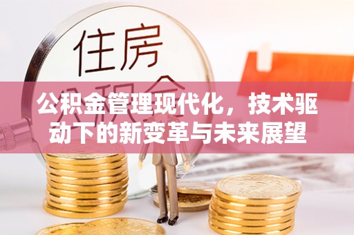 赤壁公积金管理现代化，技术驱动下的新变革与未来展望