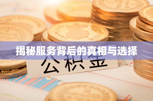 赤壁揭秘服务背后的真相与选择