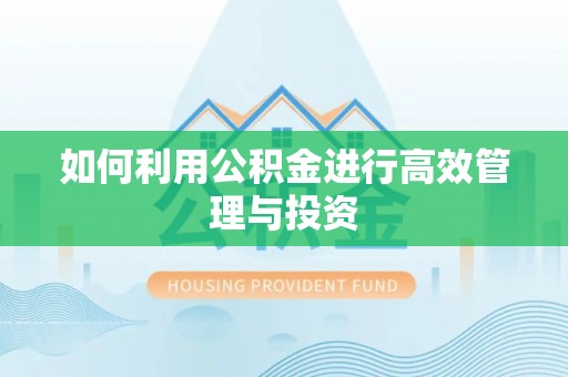 赤壁如何利用公积金进行高效管理与投资