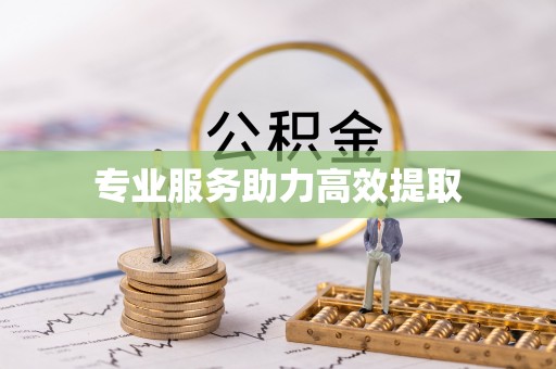 赤壁专业服务助力高效提取