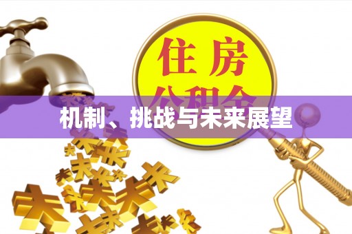 赤壁机制、挑战与未来展望